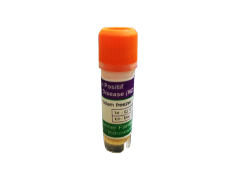 Serum (+) ND